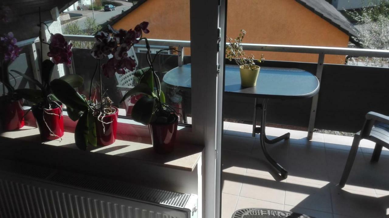 Obere Ferienwohnung Asshoff Zwischen Odenwald, Taubertal Und Bauland Berolzheim Kültér fotó